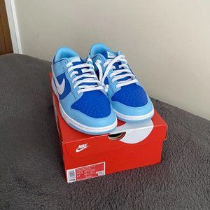 Nike Dunk Low Retro QS Argon Shoes
